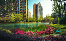 恒大帝景|何必诗与远方！在恒大帝景，遇见四季风光！