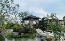 龙泉云璟：理想人居新标杆