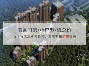 龙山国际
