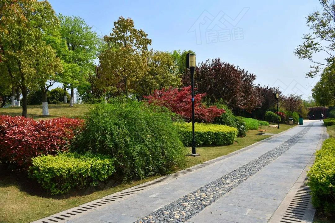 荆门公园里实景图