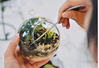 1590114956456286.gif 1590114956456286.gif