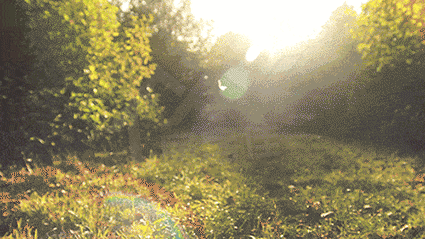 1594602623876098.gif 微信图片_20200713090134.gif