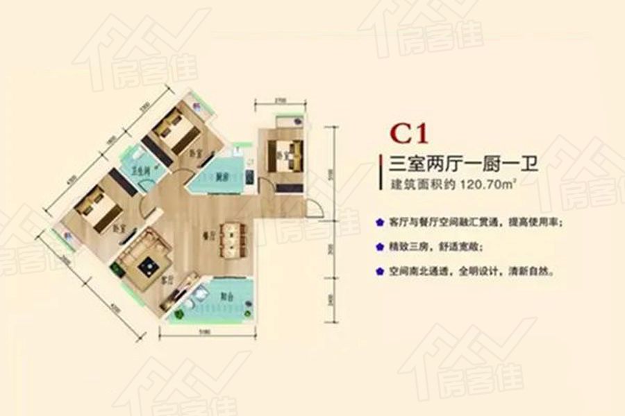 C1户型