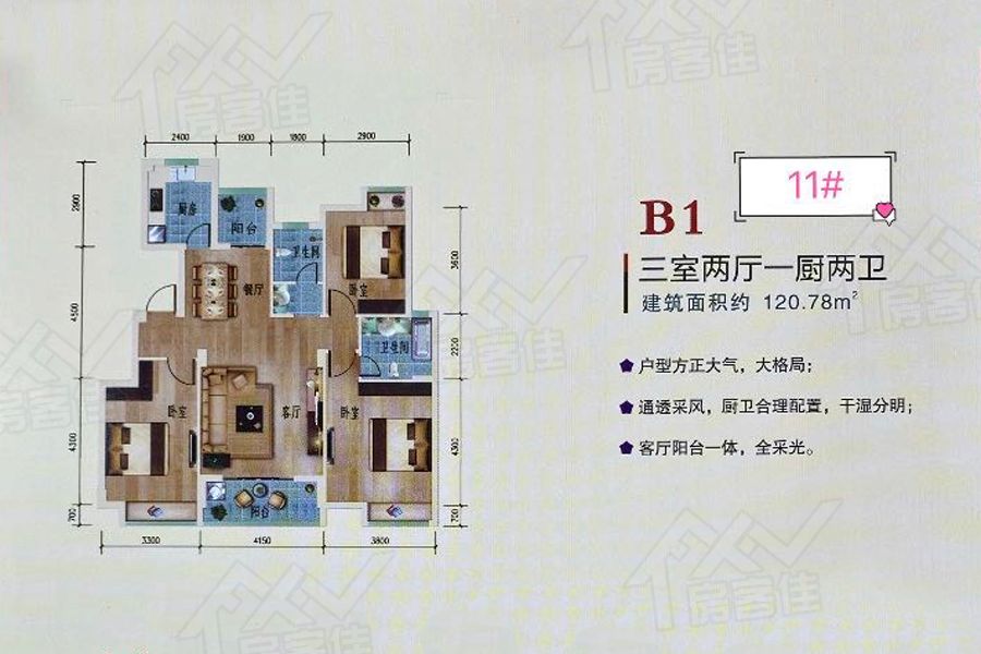 B1户型