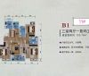 中房龙锦花园B1户型