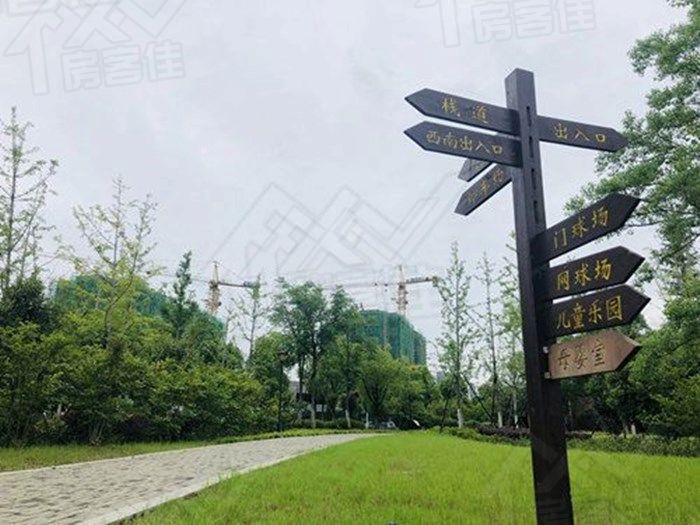 沙洋平湖公园 沙洋平湖公园