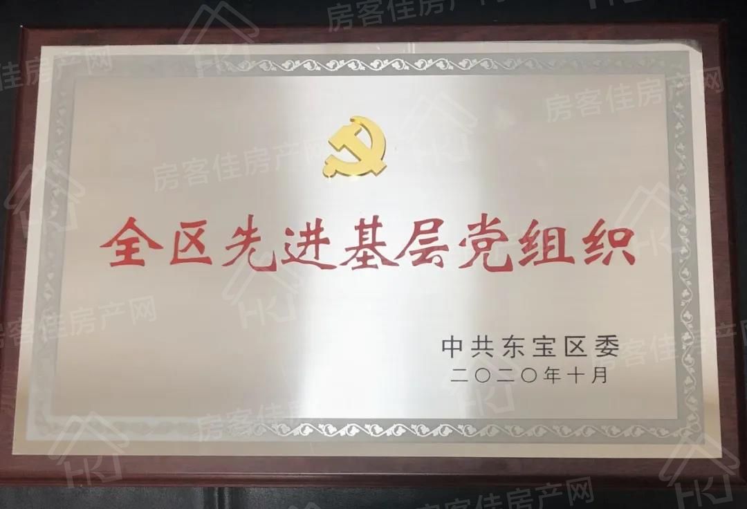 全区先进基层党组织 全区先进基层党组织