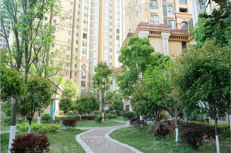 中央华府绿化实景图 中央华府绿化实景图