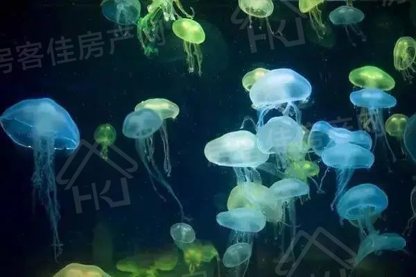 中建壹品璟苑看房电话:0724-6800600 中建壹品璟苑看房电话:0724-6800600