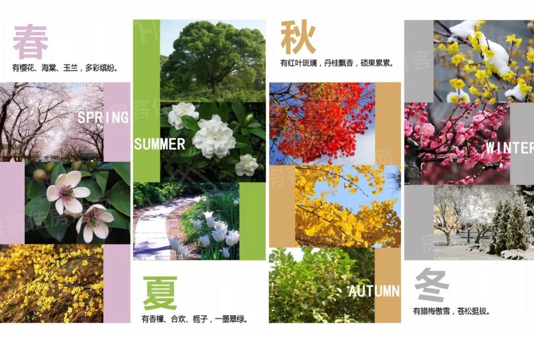 中宇魅力城 中宇魅力城