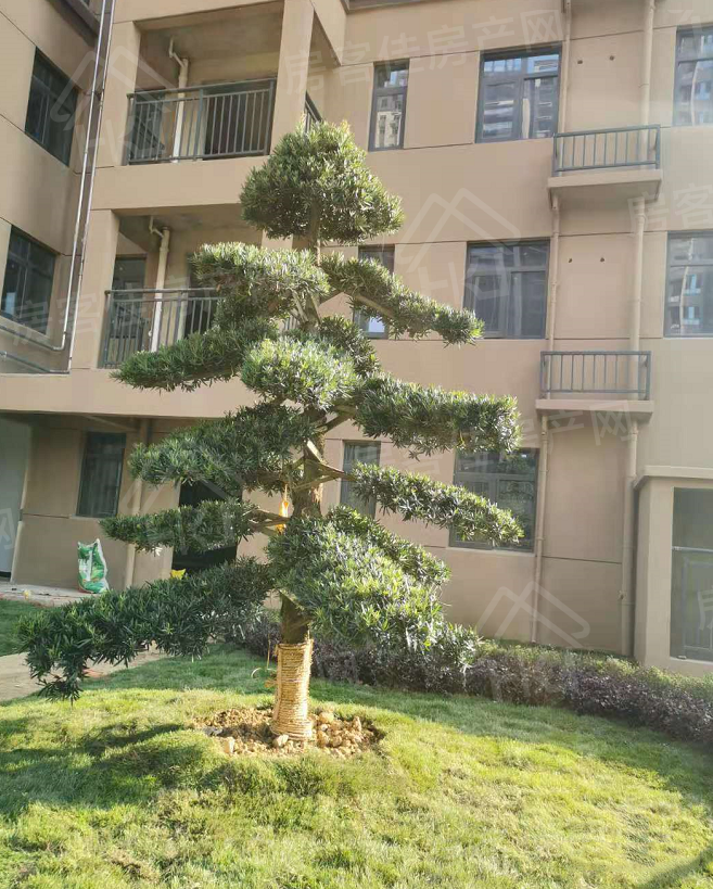 诺思·幸福城看房电话:0724-6800600 诺思·幸福城看房电话:0724-6800600