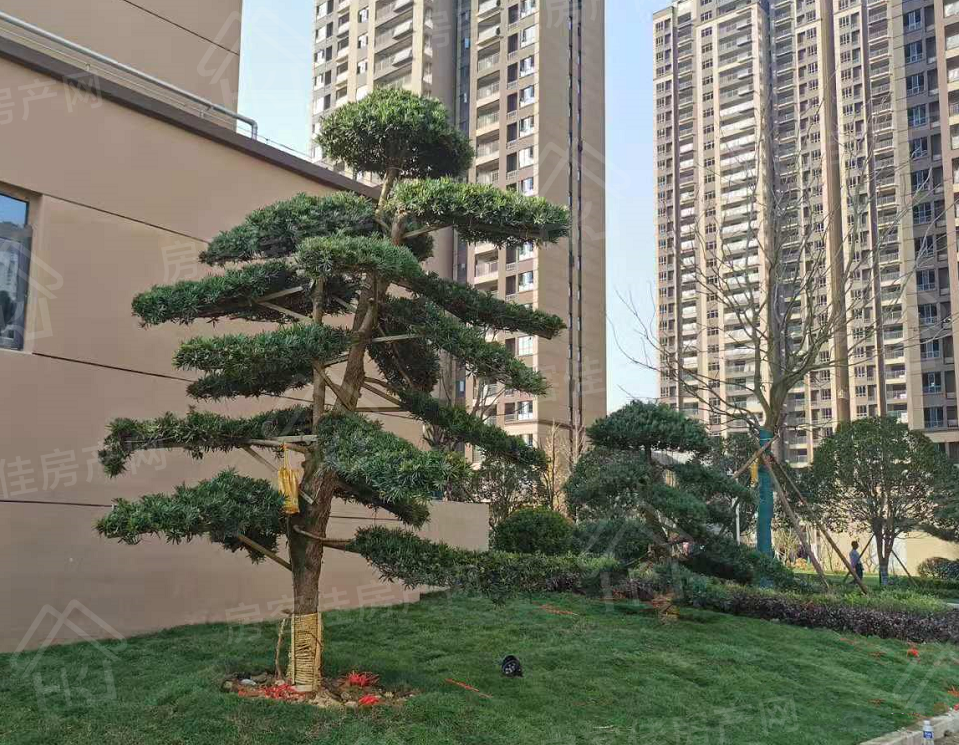 诺思·幸福城看房电话:0724-6800600 诺思·幸福城看房电话:0724-6800600