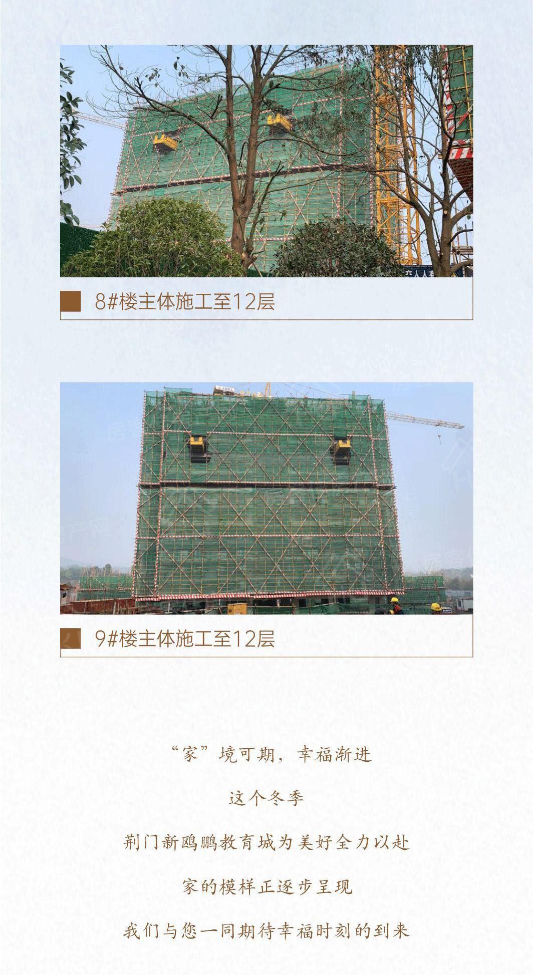 新鸥鹏教育城工程进度展示 新鸥鹏教育城工程进度展示