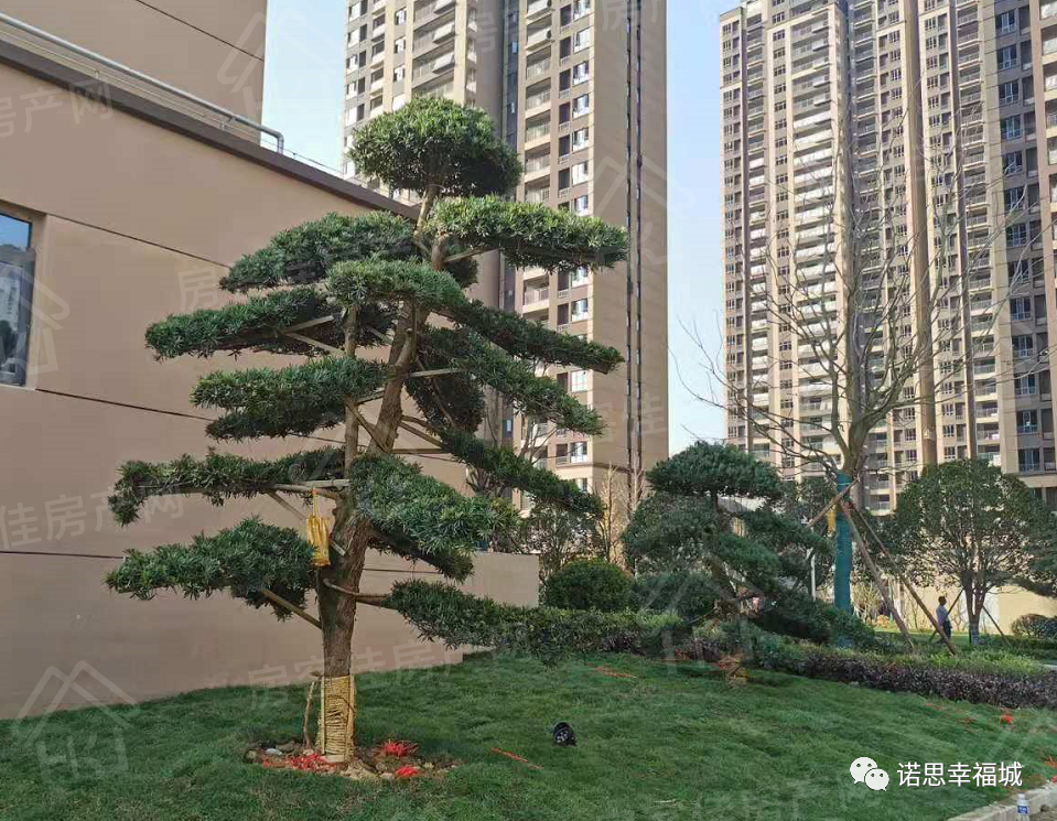诺思·幸福城小区实拍 诺思·幸福城小区实拍
