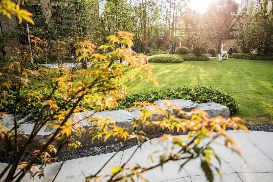 实地·紫薇雅著示意图 实地·紫薇雅著示意图
