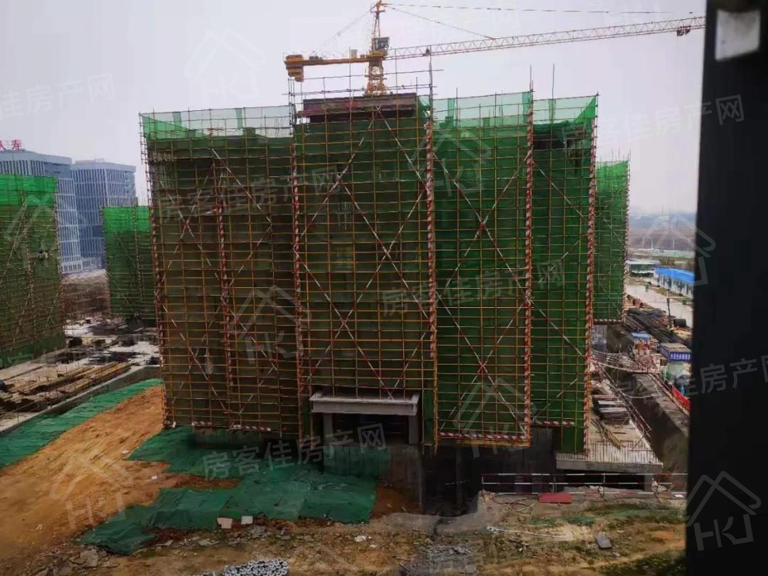 汇金中心·金樾府项目实景图 汇金中心·金樾府项目实景图