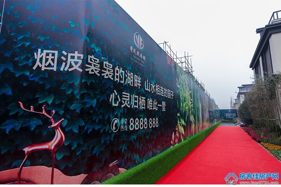 凤凰香醍实景图 凤凰香醍实景图