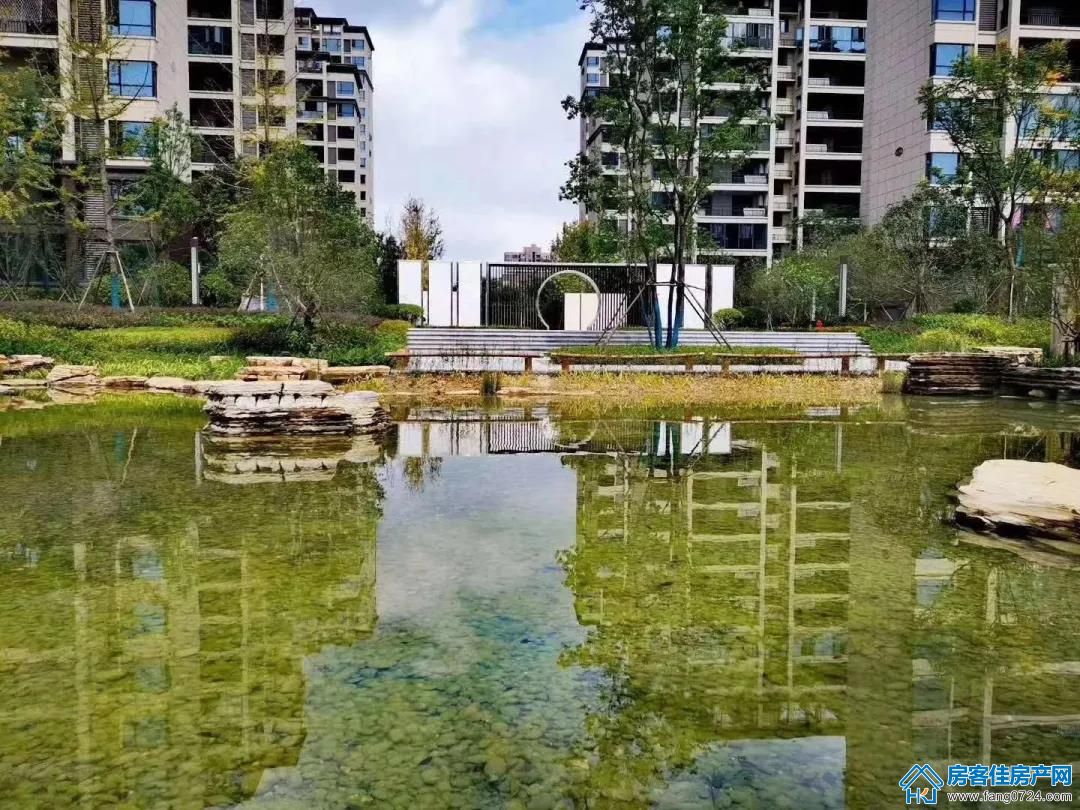 洋丰·凤凰香醍实景图 洋丰·凤凰香醍实景图