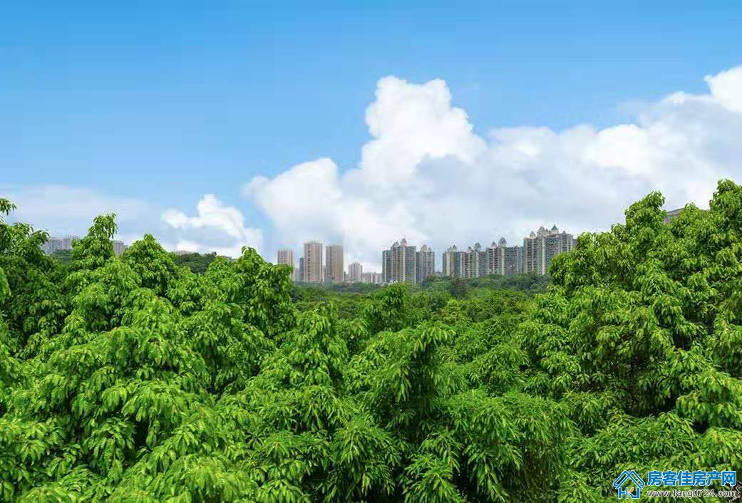 荆门碧桂园翡翠公馆图片 荆门碧桂园翡翠公馆图片