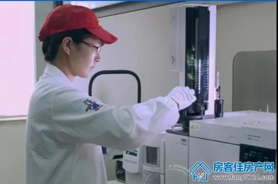 玲珑集团 玲珑集团