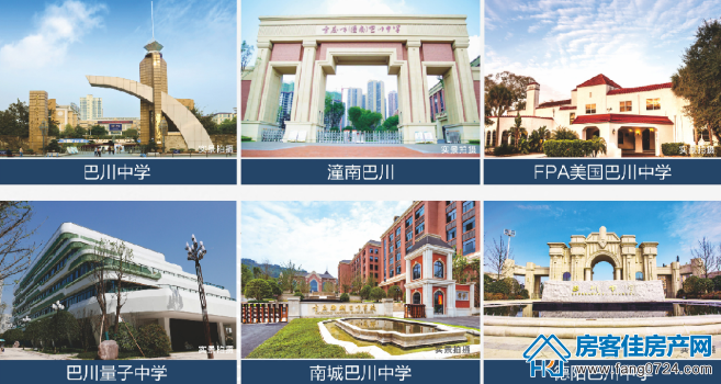新鸥鹏 新鸥鹏