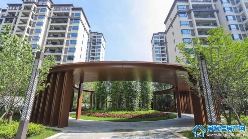 荆门洋丰·凤凰香醍图片 荆门洋丰·凤凰香醍图片