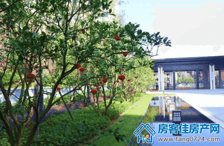 荆门洋丰·凤凰香醍图片 荆门洋丰·凤凰香醍图片