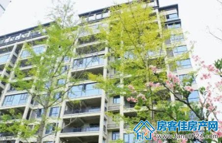 荆门洋丰·凤凰香醍图片 荆门洋丰·凤凰香醍图片
