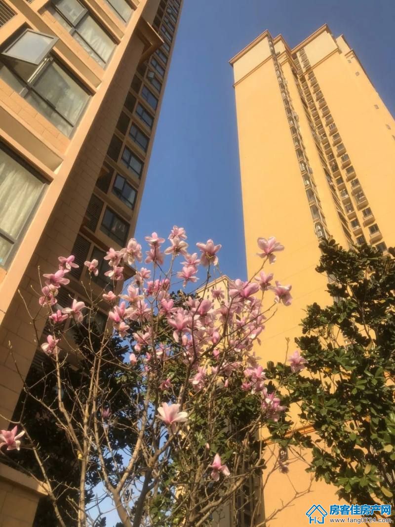 荆门中央华府图片 荆门中央华府图片