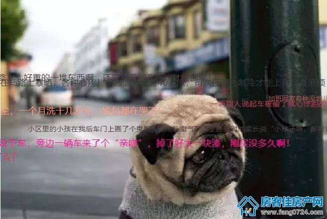 表情图 表情图