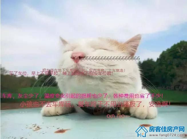 表情图 表情图
