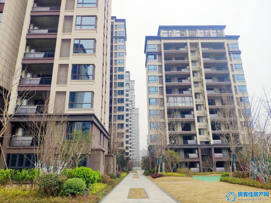 凤凰香醍 凤凰香醍
