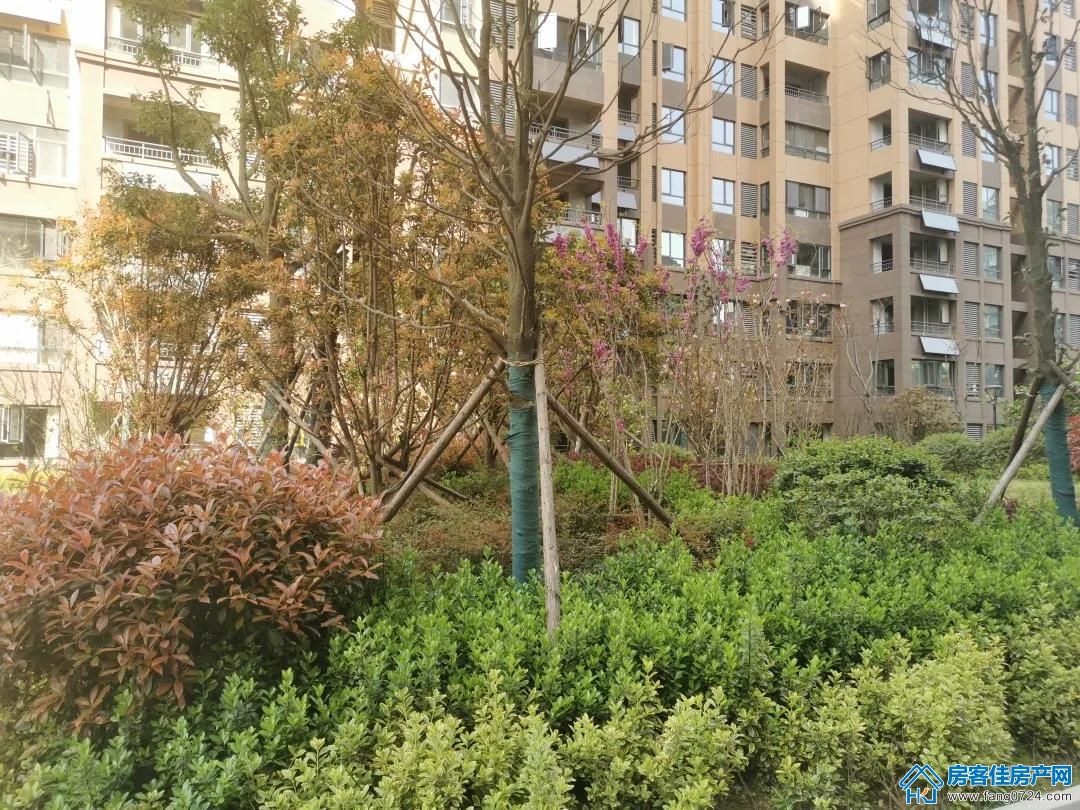 中国铁建·公园3326 中国铁建·公园3326