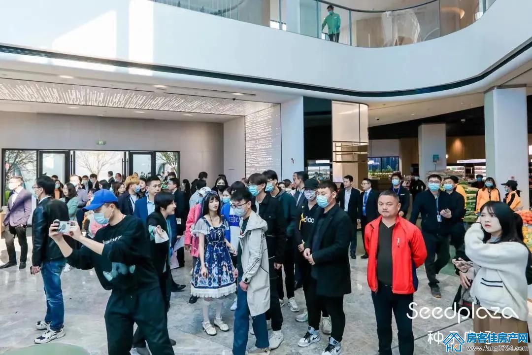 紫薇雅著 紫薇雅著