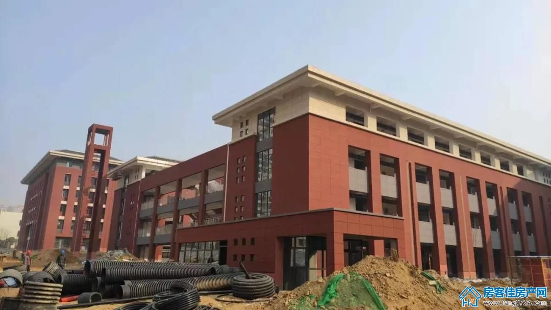 天鹅学校 天鹅学校