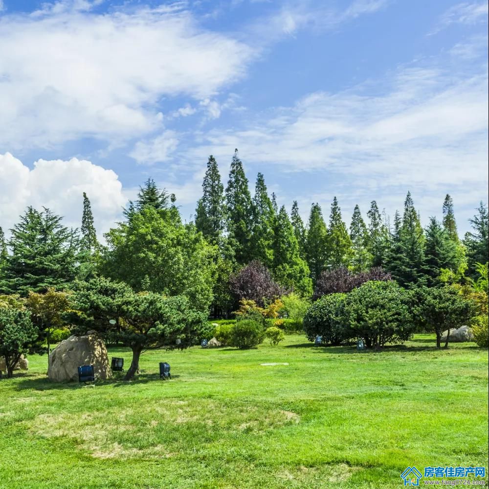 紫悦蓝山 紫悦蓝山