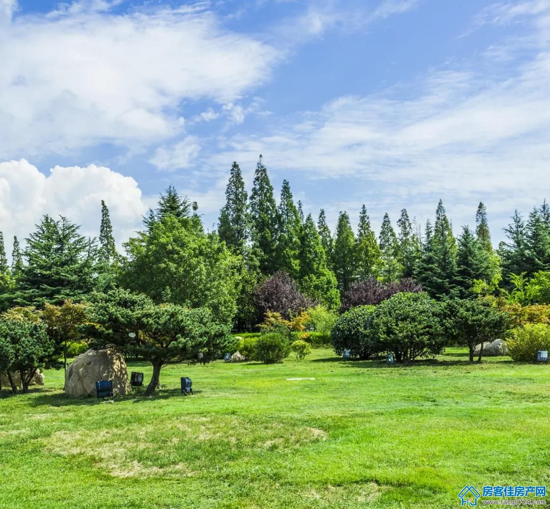 紫悦蓝山 紫悦蓝山