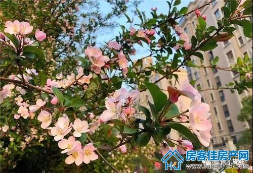 凯旋城 凯旋城