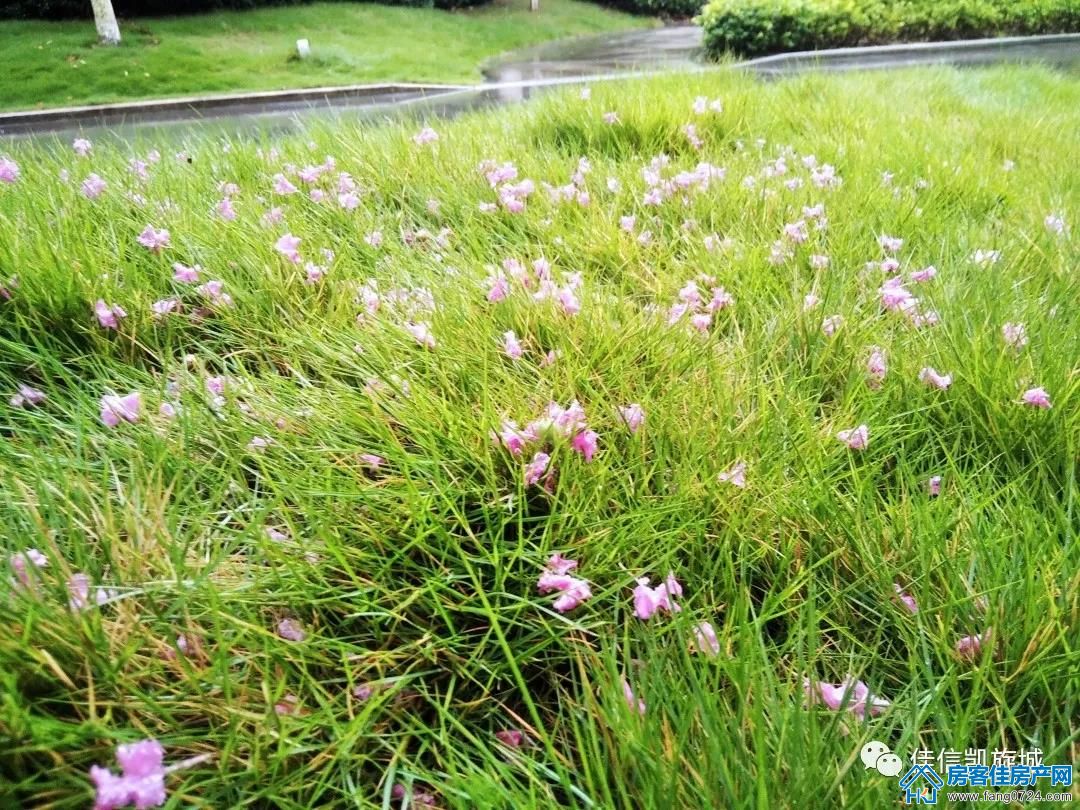 凯旋城 凯旋城