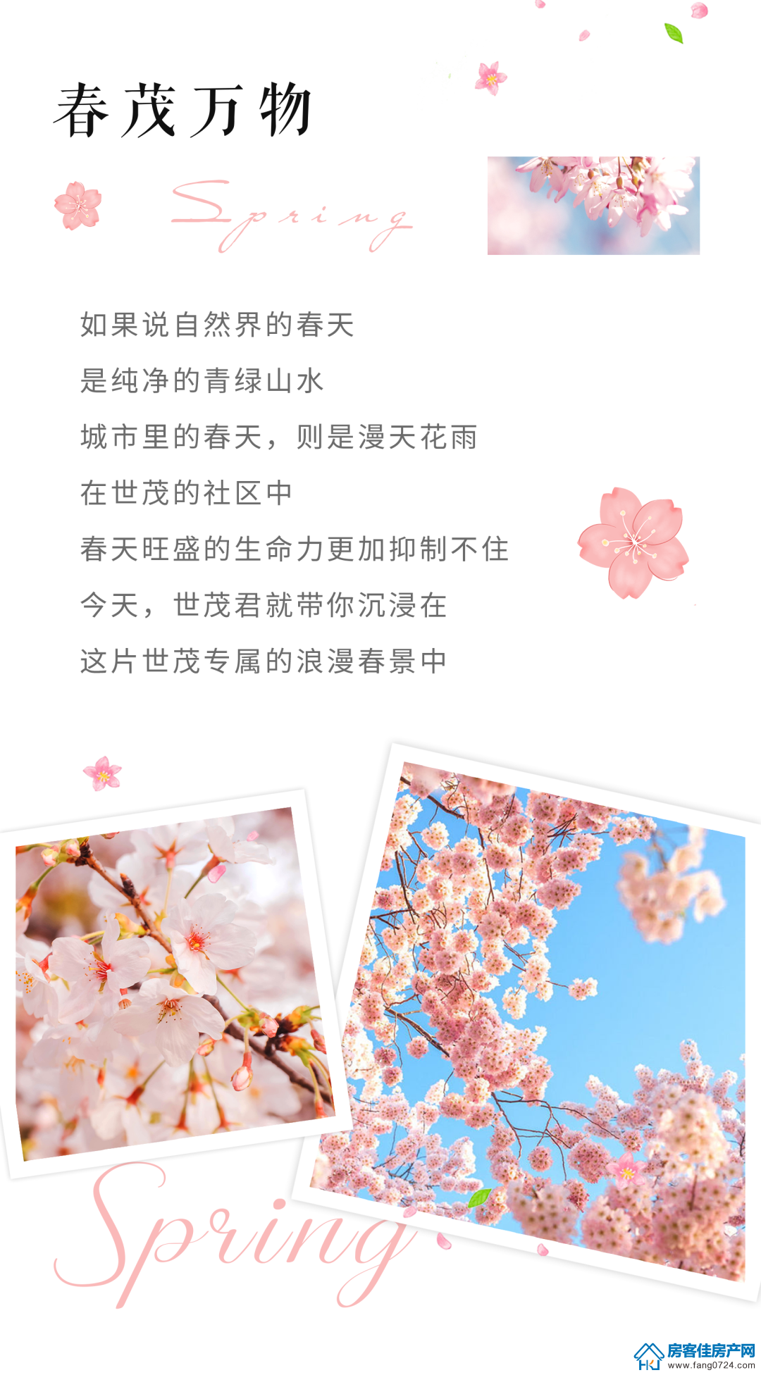 世茂 世茂