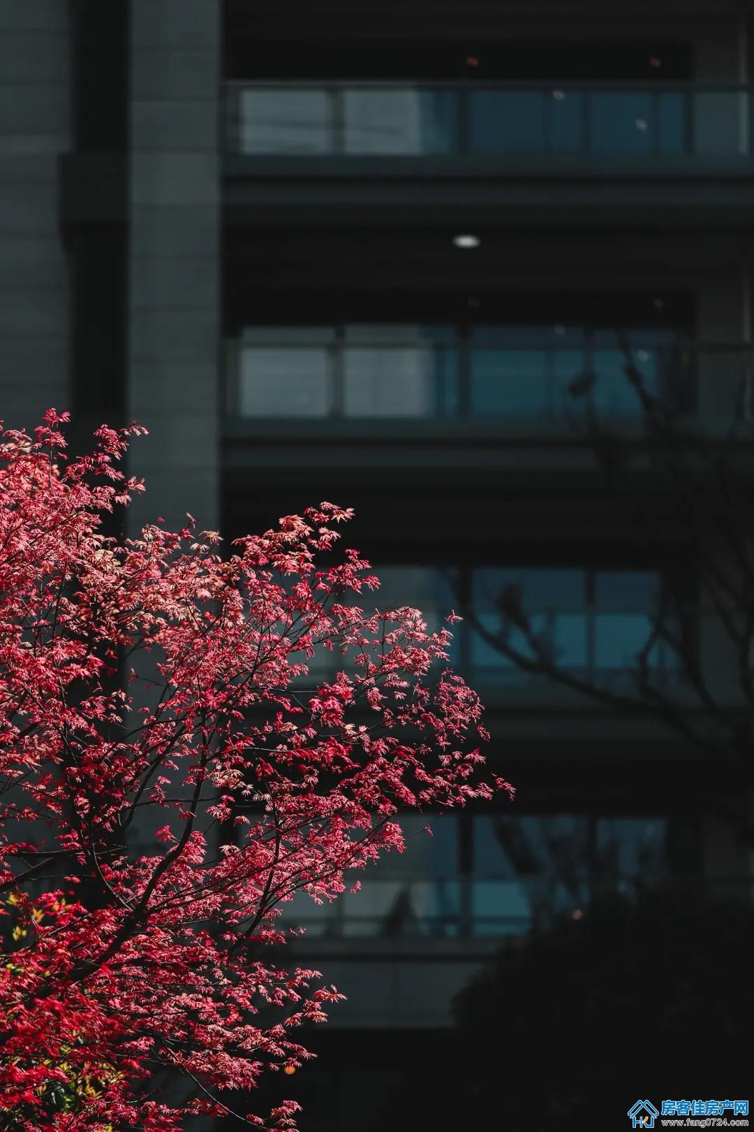 世茂 世茂
