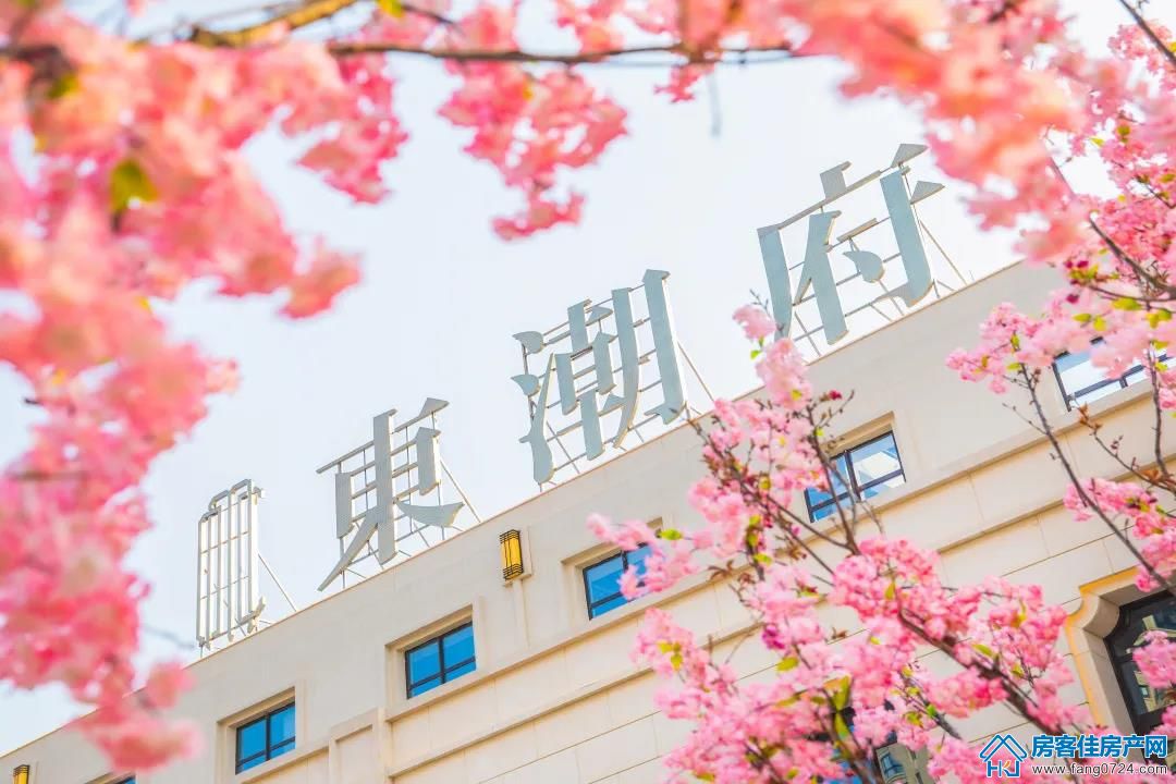 世茂 世茂