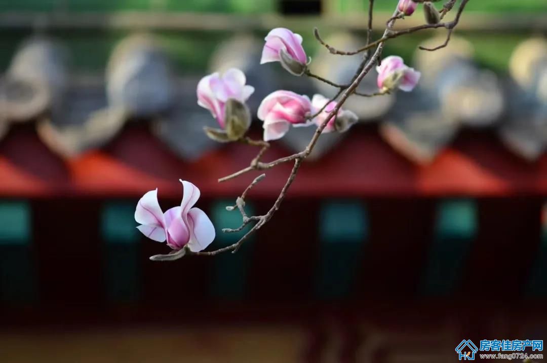 世茂 世茂