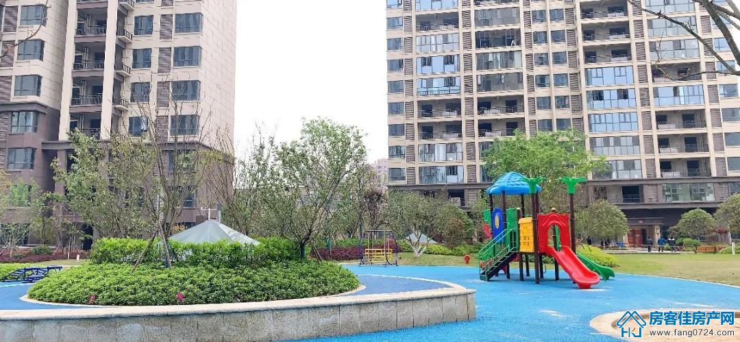 凤凰香醍 凤凰香醍