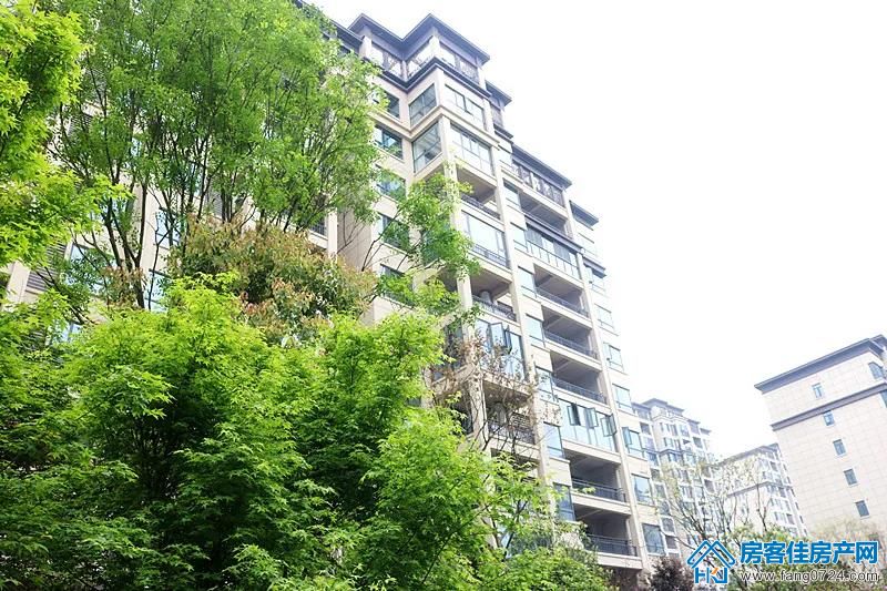 凤凰香醍 凤凰香醍