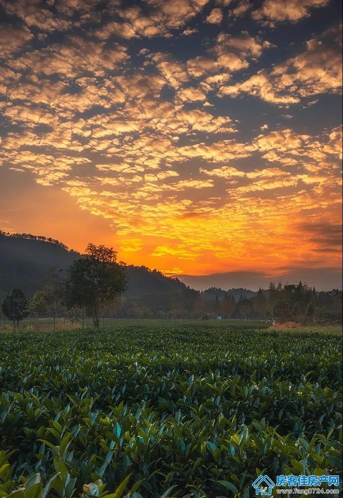 世茂 世茂