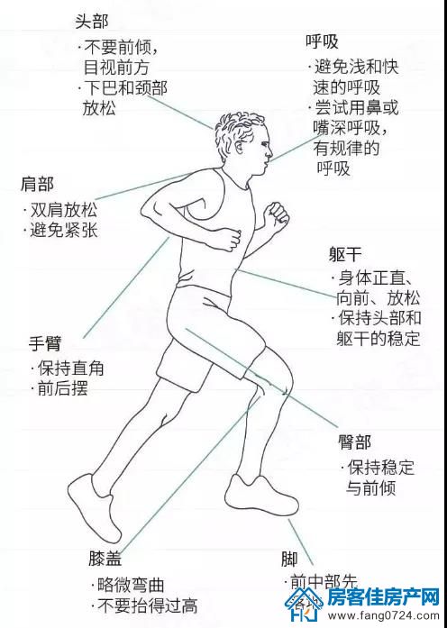 紫薇雅著