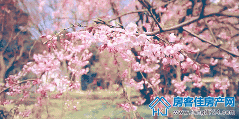 象山玉园 象山玉园