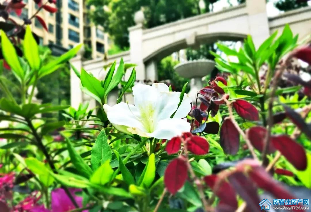 荆门天地 荆门天地