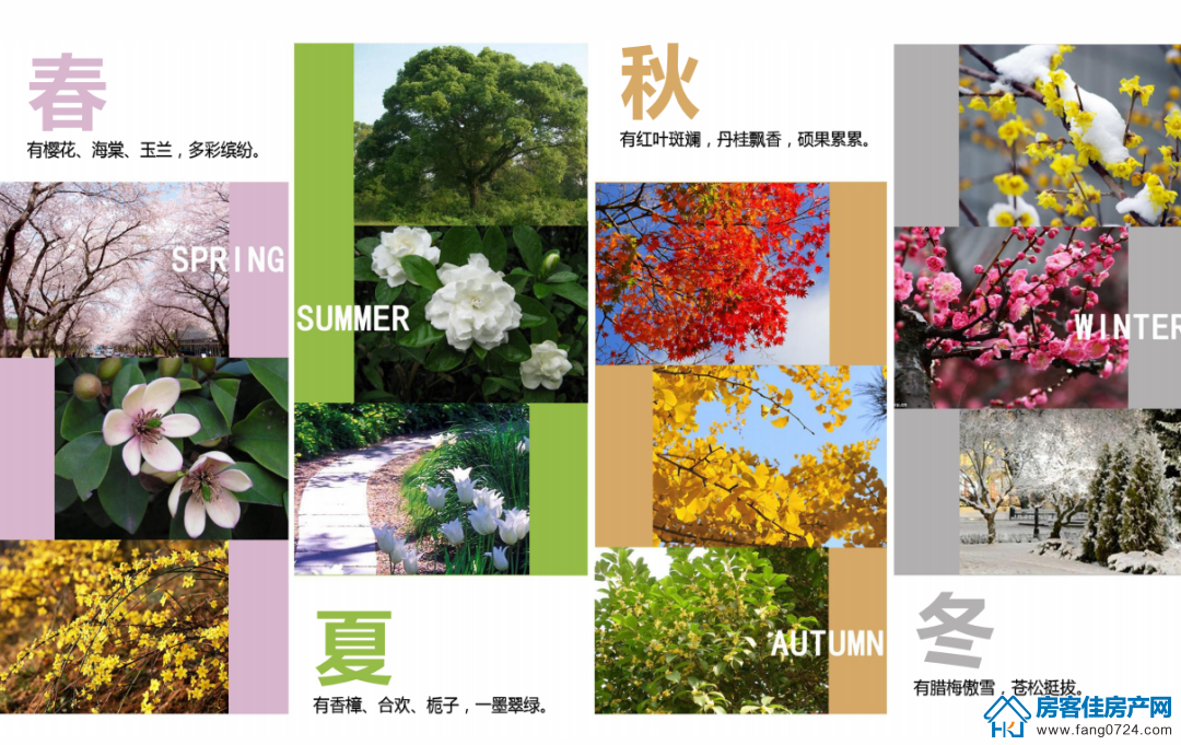 中宇魅力城